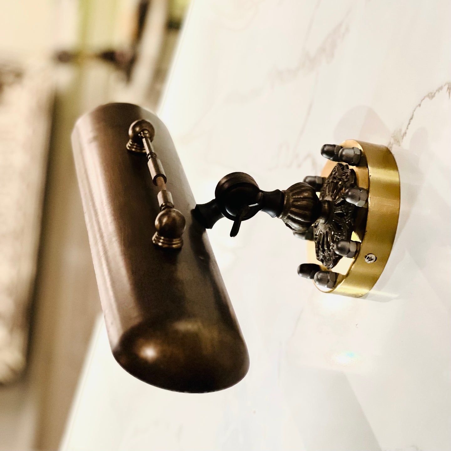 Nemo Picture Light Large